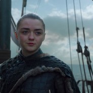 Captain Arya