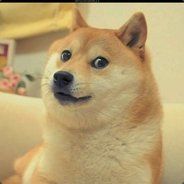 SuchDoge
