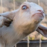 какое нахуй 228