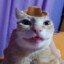 gloober