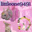 littleone9491