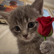 ♥_TomcioPaluch_♥