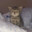 pawel-