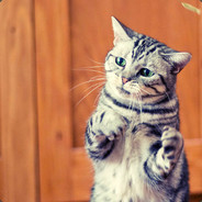 不明寄生生命体