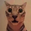 catj