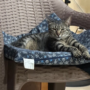 不要挖我眼珠子