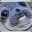 Stary_Kelenny
