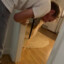Putte7PanG_rogg