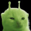 Mietokastike
