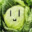 cabbage2saucy