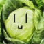 cabbage2saucy