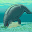 Perucetus Colossus