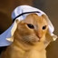 habibi