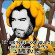Bahtiyar