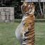 Tiger2004