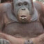 KendiniSiKenOrAnGuTaN