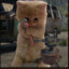 Taco_cat