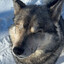 Gudge