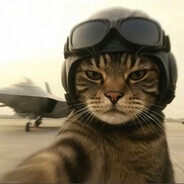 年轻的哈基米渴望功勋