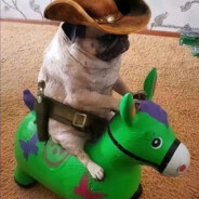 ImpenetrablePineapple537