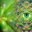 only Trip