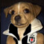 CSGOSKINS cilginbesiktasli1903