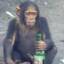 Monkey D. Beer