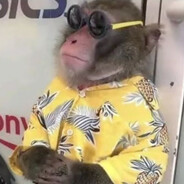 2-3 years in doggistyle