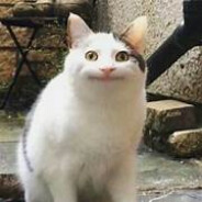 你是真餓了