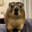 John Mammal