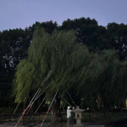 平芜尽处是春山