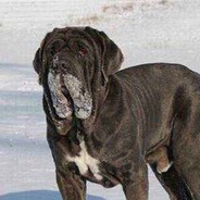 人送外号高大拿。