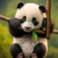 Panda77 csgoskins