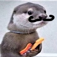 OtterbotterXLT