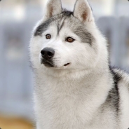 一分没花赵德汉