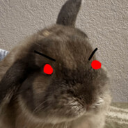 I am one evil bunny