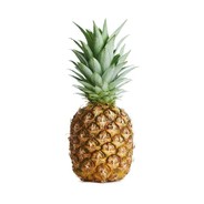 Yağuşuklu Ananas