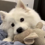 拒绝豪门美女富婆99次