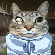 Catquest