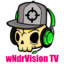 wNdrVisionTV