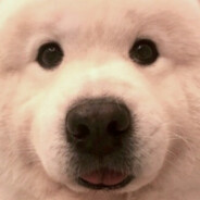 곽두팔 Steam avatar