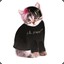 LIL Meow