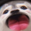 卧龙