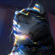 君埋泉下泥销骨