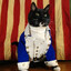Aaron Purr