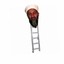 Osama Bin Ladder