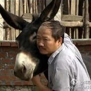 社会你广坤叔呀