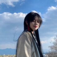 偏我来时不逢春