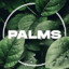 Palms