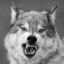 BaShkIr_74